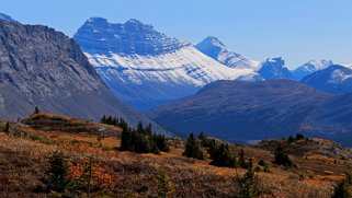 Cirrus Mountain 3270 m - Wilcox Pass Trail - Parc National de Jasper Canada 2023